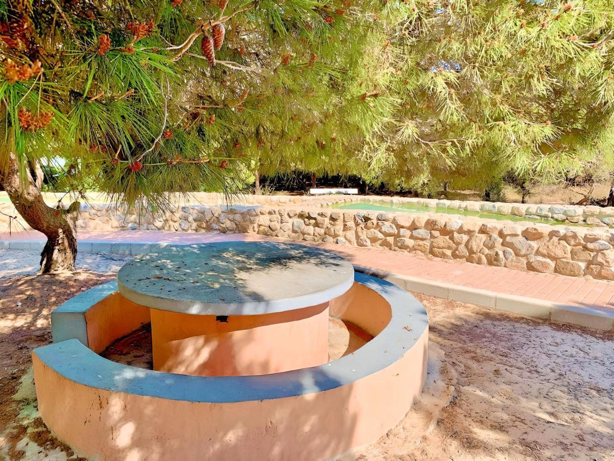 Your Holidays In La Mata Apartment